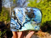 Polished Labradorite Standing Free Forms x 2 From Tulear, Madagascar - Toprock Gemstones and Minerals 
