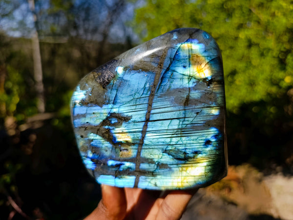 Polished Labradorite Standing Free Forms x 2 From Tulear, Madagascar - Toprock Gemstones and Minerals 