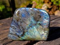 Polished Labradorite Standing Free Forms x 2 From Tulear, Madagascar - Toprock Gemstones and Minerals 