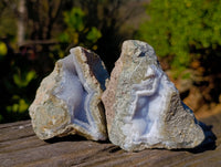 Natural Blue Lace Agate Geode Specimens x 12 From Malawi