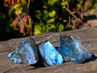 Polished On One Side Labradorite x 35 From Tulear, Madagascar - Toprock Gemstones and Minerals 