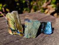 Polished On One Side Labradorite x 35 From Tulear, Madagascar - Toprock Gemstones and Minerals 