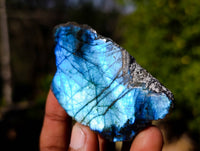 Polished On One Side Labradorite x 35 From Tulear, Madagascar - Toprock Gemstones and Minerals 