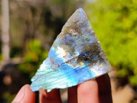 Polished On One Side Labradorite x 35 From Tulear, Madagascar - Toprock Gemstones and Minerals 