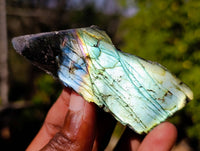 Polished On One Side Labradorite x 35 From Tulear, Madagascar - Toprock Gemstones and Minerals 