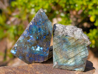 Polished On One Side Labradorite x 35 From Tulear, Madagascar - Toprock Gemstones and Minerals 