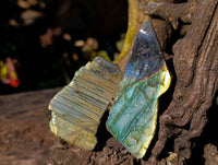 Polished On One Side Labradorite x 35 From Tulear, Madagascar - Toprock Gemstones and Minerals 