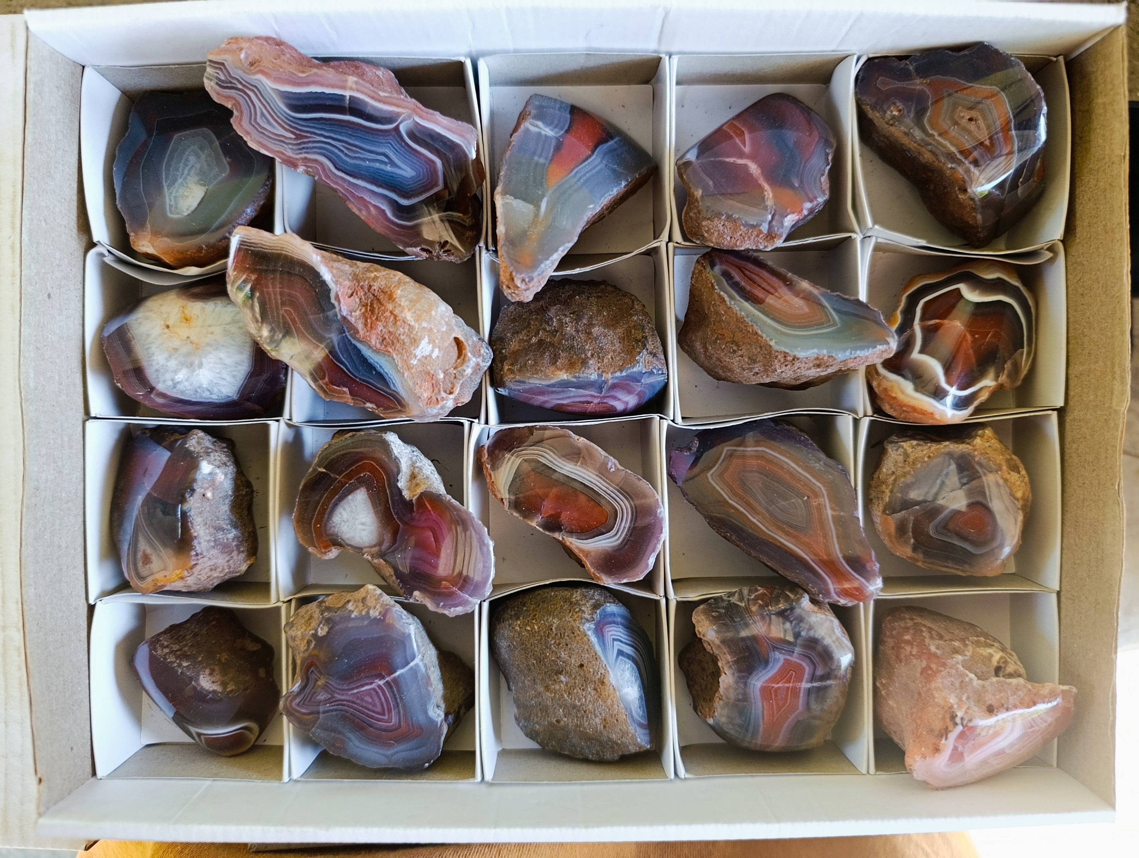 Polished On One Side Red Sashe River Agate Nodules x 20 From Zimbabwe - Toprock Gemstones and Minerals 