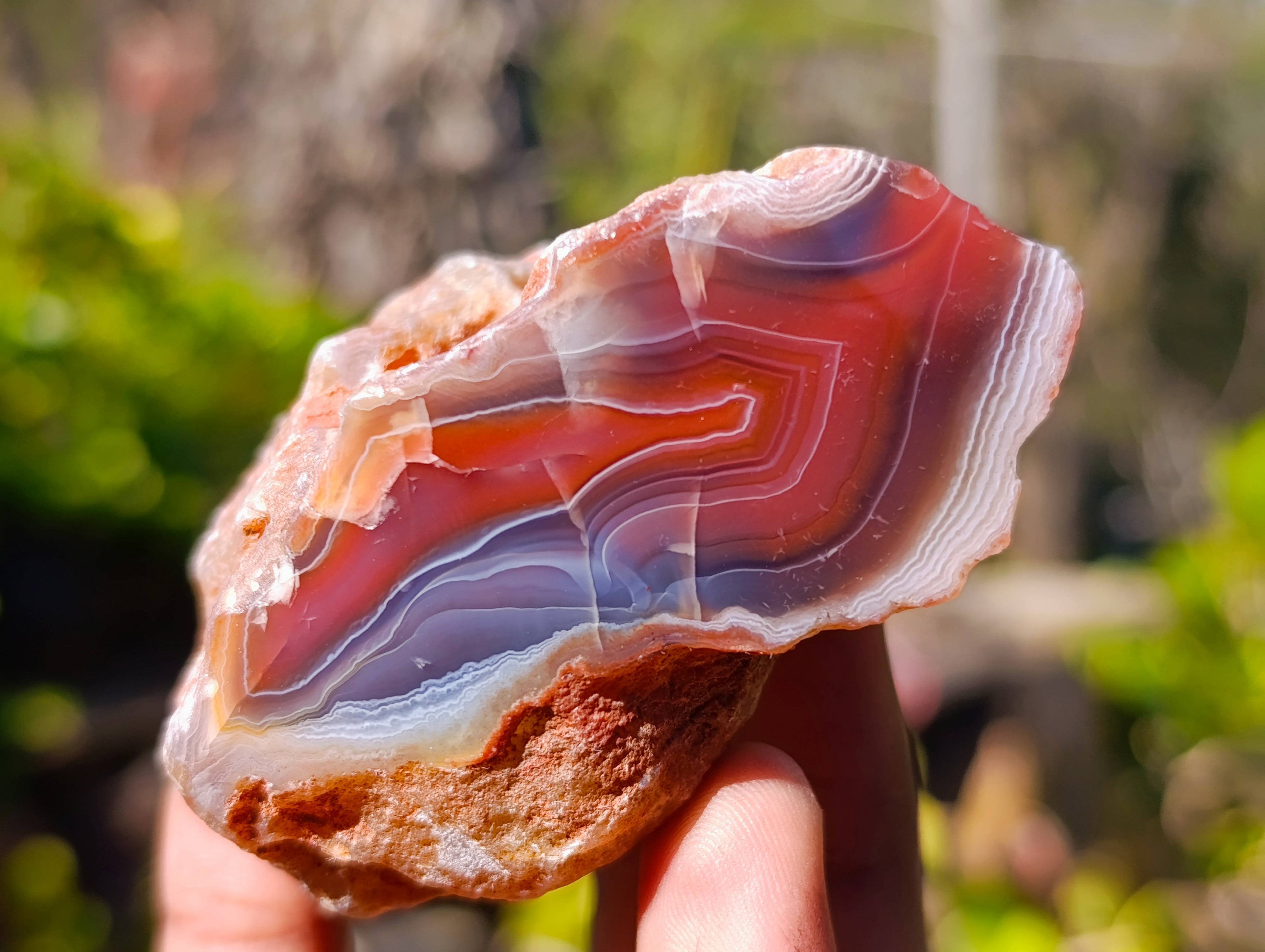 Polished On One Side Red Sashe River Agate Nodules x 20 From Zimbabwe - Toprock Gemstones and Minerals 
