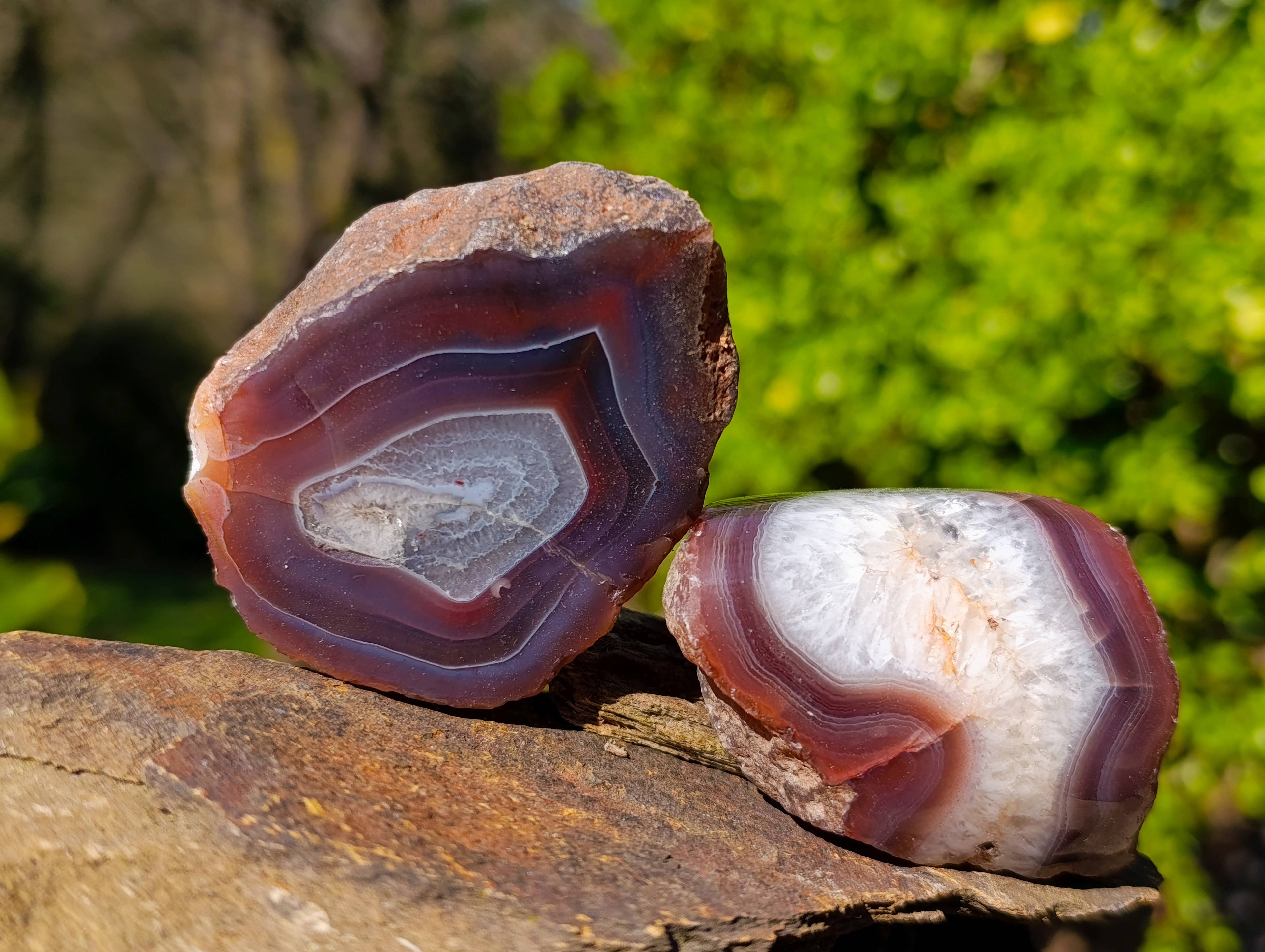 Polished On One Side Red Sashe River Agate Nodules x 20 From Zimbabwe - Toprock Gemstones and Minerals 