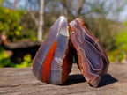 Polished On One Side Red Sashe River Agate Nodules x 20 From Zimbabwe - Toprock Gemstones and Minerals 