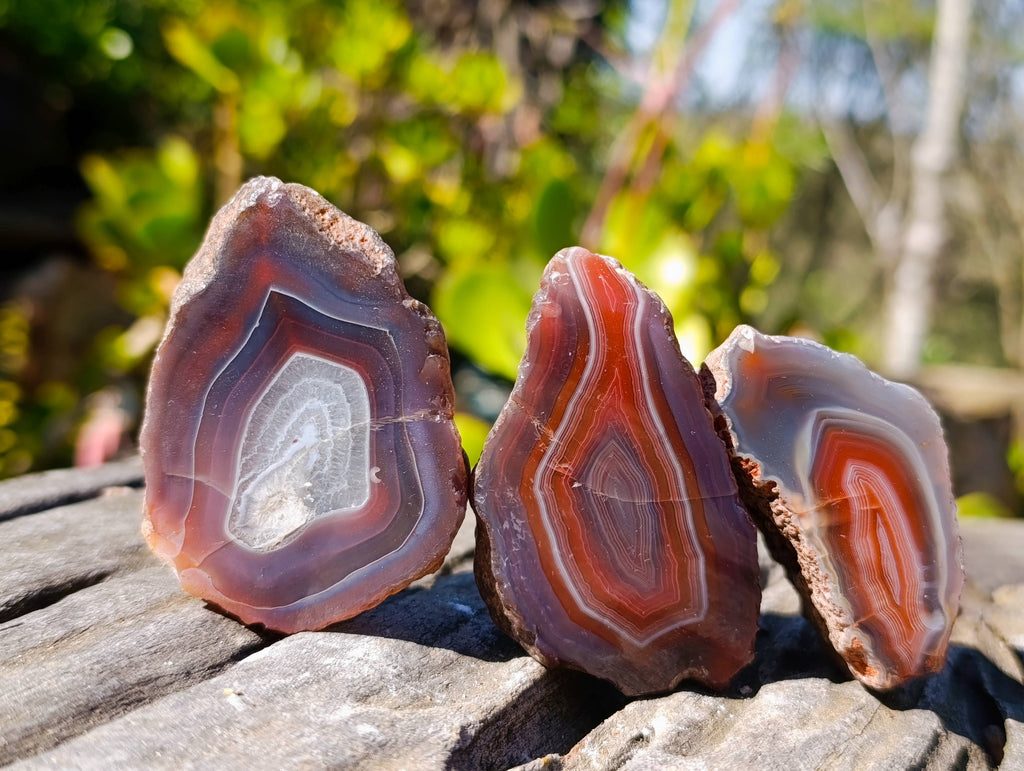 Polished On One Side Red Sashe River Agate Nodules x 20 From Zimbabwe - Toprock Gemstones and Minerals 