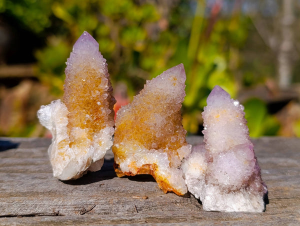 Natural Amethyst Spirit Quartz Clusters x 20 From Boekenhouthoek, South Africa