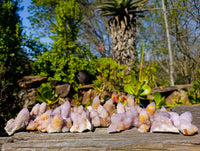 Natural Amethyst Spirit Quartz Clusters x 20 From Boekenhouthoek, South Africa
