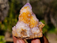 Natural Amethyst Spirit Quartz Clusters x 20 From Boekenhouthoek, South Africa