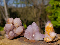 Natural Amethyst Spirit Quartz Clusters x 20 From Boekenhouthoek, South Africa