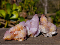 Natural Amethyst Spirit Quartz Clusters x 20 From Boekenhouthoek, South Africa