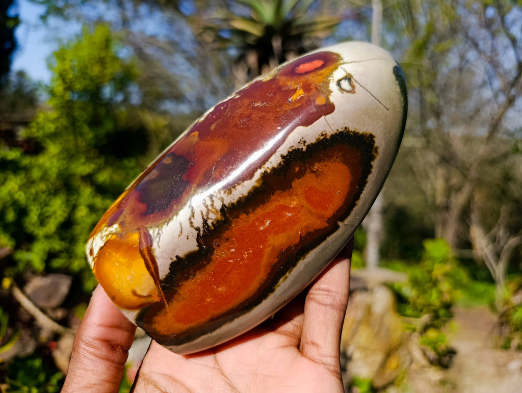 Polished Polychrome Jasper Standing Free Forms x 4 From Madagascar - Toprock Gemstones and Minerals 