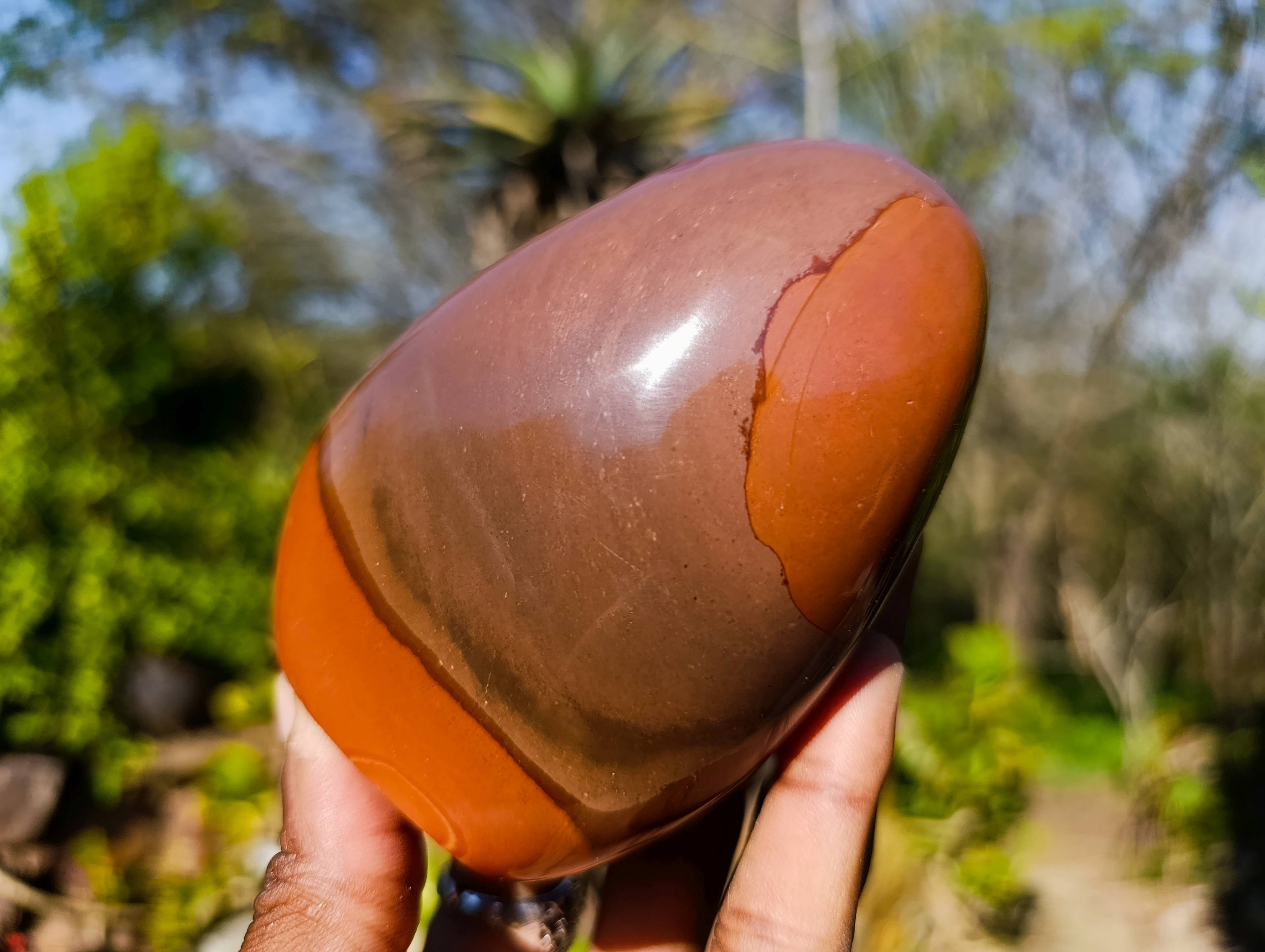 Polished Polychrome Jasper Standing Free Forms x 4 From Madagascar - Toprock Gemstones and Minerals 