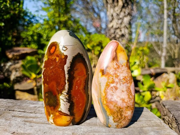 Polished Polychrome Jasper Standing Free Forms x 4 From Madagascar