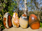 Polished Polychrome Jasper Standing Free Forms x 4 From Madagascar - Toprock Gemstones and Minerals 