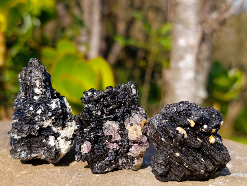 Natural Schorl Black Tourmaline Specimens x 16 From Erongo, Namibia - Toprock Gemstones and Minerals 