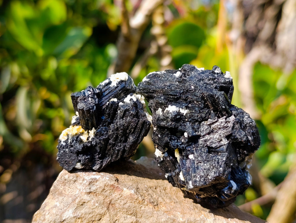 Natural Schorl Black Tourmaline Specimens x 16 From Erongo, Namibia - Toprock Gemstones and Minerals 