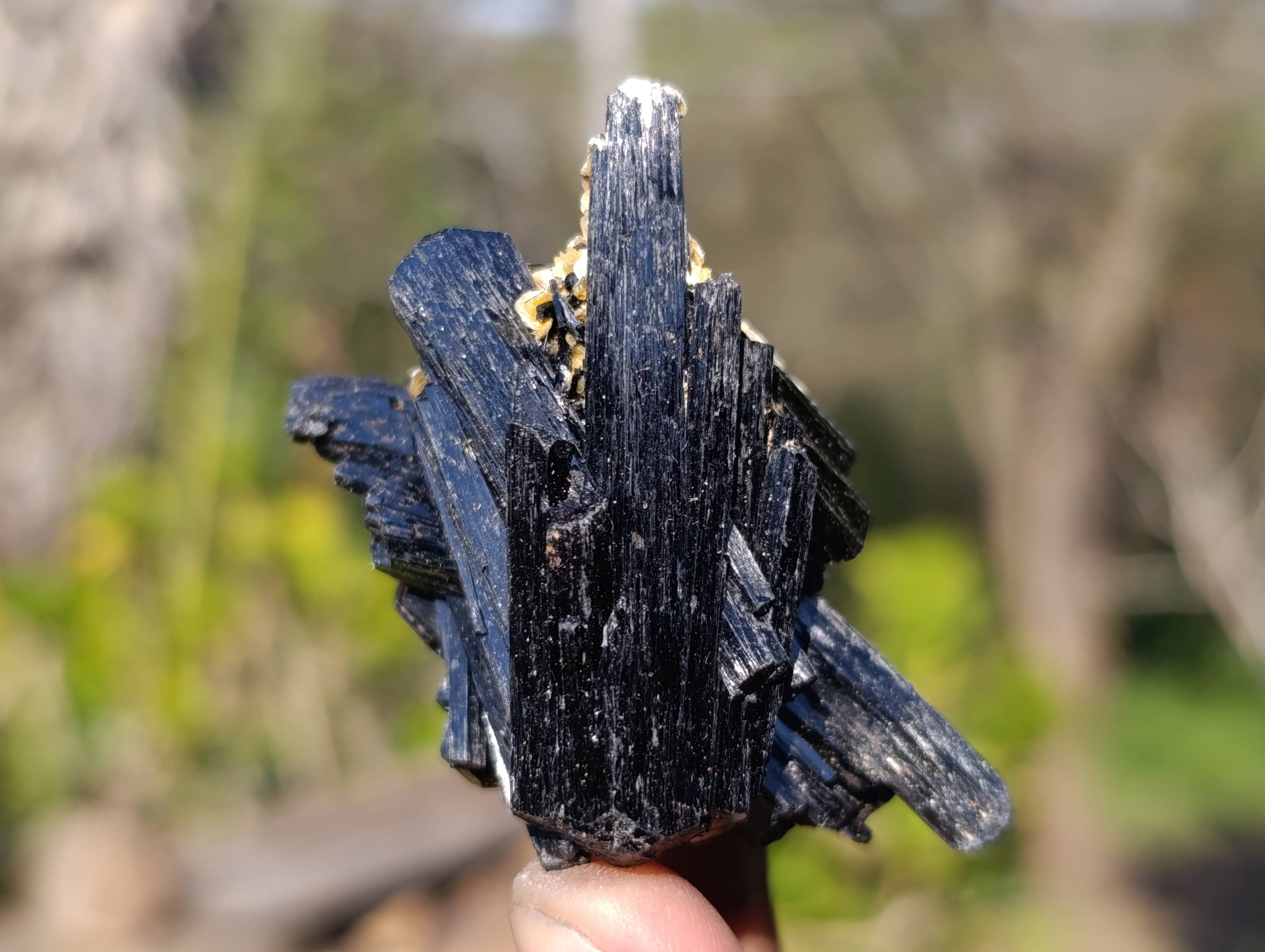 Natural Schorl Black Tourmaline Specimens x 16 From Erongo, Namibia - Toprock Gemstones and Minerals 