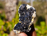 Natural Schorl Black Tourmaline Specimens x 16 From Erongo, Namibia