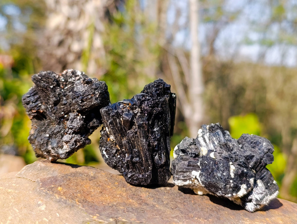 Natural Schorl Black Tourmaline Specimens x 16 From Erongo, Namibia - Toprock Gemstones and Minerals 