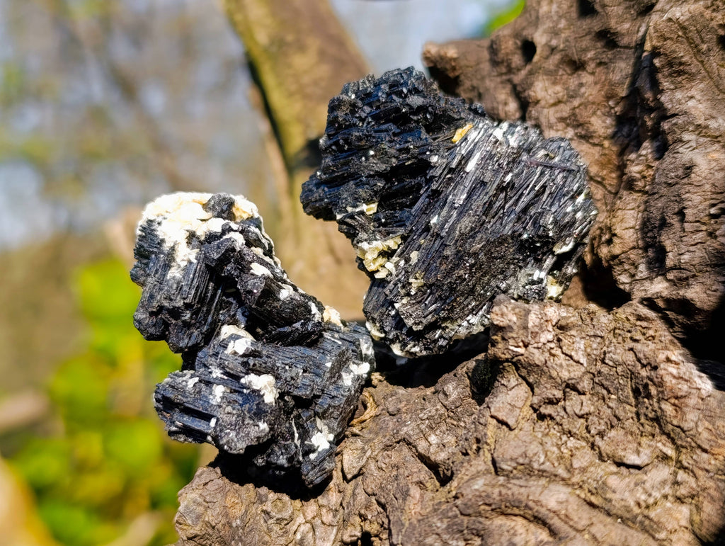 Natural Schorl Black Tourmaline Specimens x 16 From Erongo, Namibia - Toprock Gemstones and Minerals 