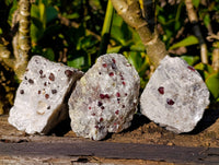 Natural Red Pyrope Garnet Crystals in Quartz Feldspar Matrix x 12 From Namibia