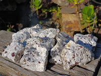 Natural Red Pyrope Garnet Crystals in Quartz Feldspar Matrix x 12 From Namibia