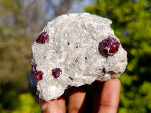 Natural Red Pyrope Garnet Crystals in Quartz Feldspar Matrix x 12 From Namibia
