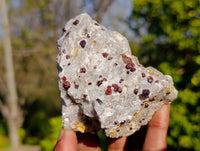 Natural Red Pyrope Garnet Crystals in Quartz Feldspar Matrix x 12 From Namibia