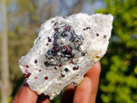 Natural Red Pyrope Garnet Crystals in Quartz Feldspar Matrix x 12 From Namibia