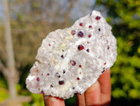 Natural Red Pyrope Garnet Crystals in Quartz Feldspar Matrix x 12 From Namibia