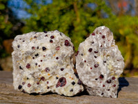 Natural Red Pyrope Garnet Crystals in Quartz Feldspar Matrix x 12 From Namibia