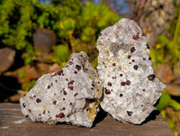 Natural Red Pyrope Garnet Crystals in Quartz Feldspar Matrix x 12 From Namibia