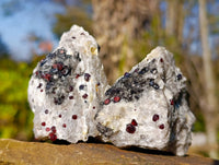 Natural Red Pyrope Garnet Crystals in Quartz Feldspar Matrix x 12 From Namibia