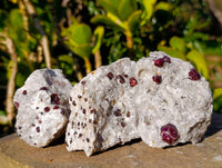 Natural Red Pyrope Garnet Crystals in Quartz Feldspar Matrix x 12 From Namibia