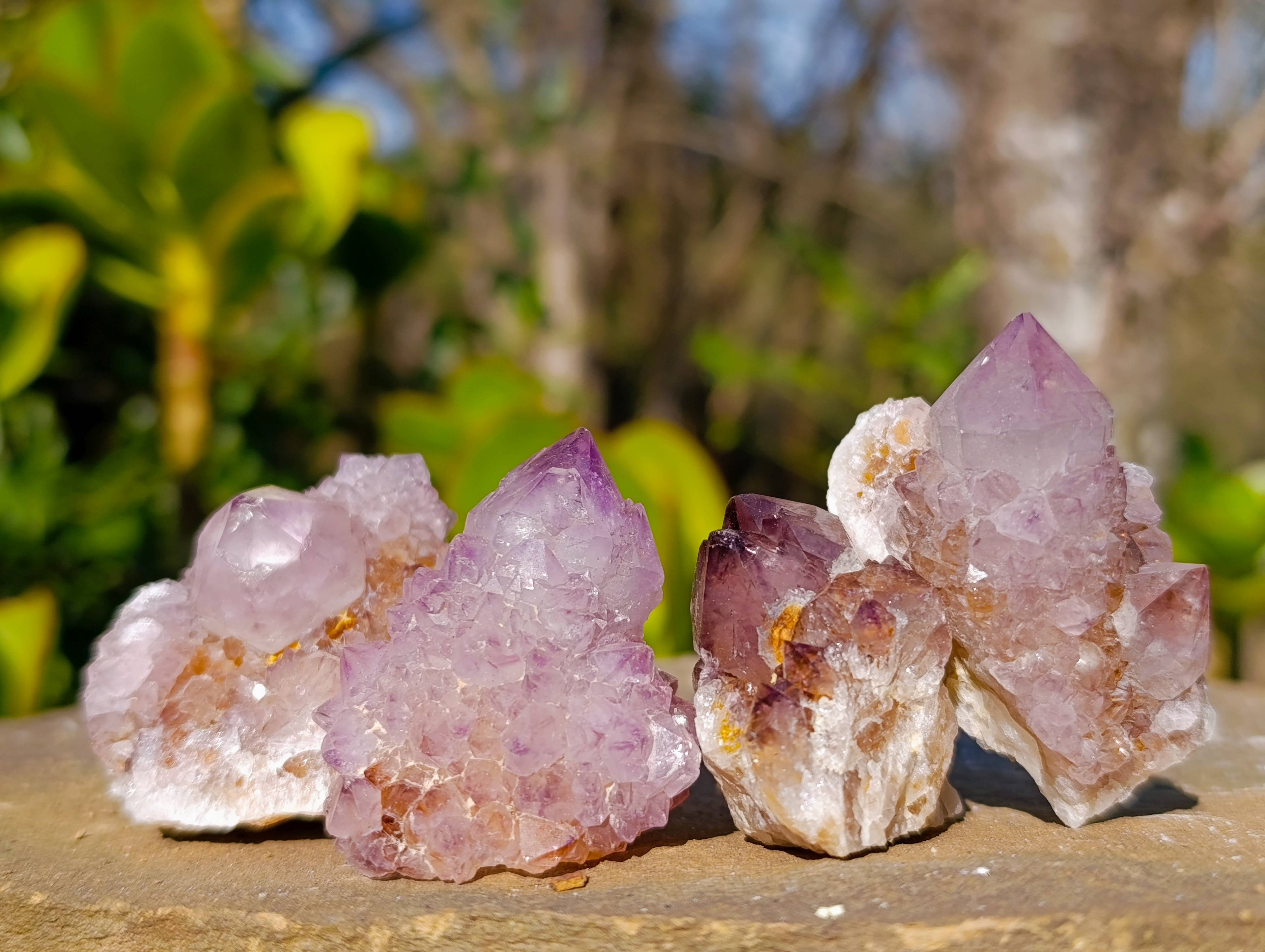 Natural Amethyst Spirit Quartz Clusters x 20 From Boekenhouthoek, South Africa - Toprock Gemstones and Minerals 