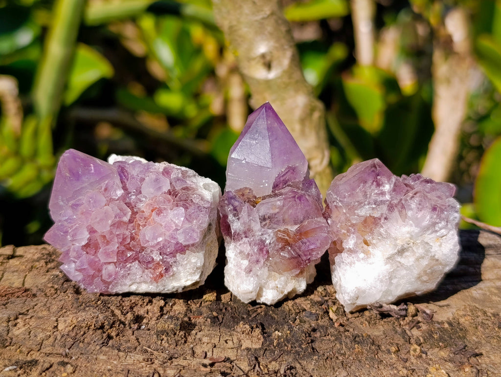 Natural Amethyst Spirit Quartz Clusters x 20 From Boekenhouthoek, South Africa - Toprock Gemstones and Minerals 