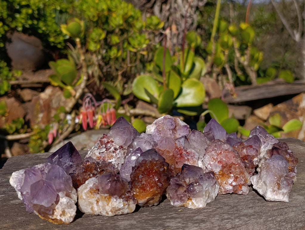 Natural Amethyst Spirit Quartz Clusters x 20 From Boekenhouthoek, South Africa - Toprock Gemstones and Minerals 
