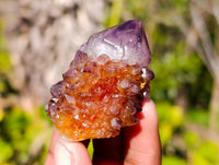 Natural Amethyst Spirit Quartz Clusters x 20 From Boekenhouthoek, South Africa