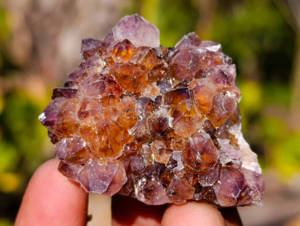 Natural Amethyst Spirit Quartz Clusters x 20 From Boekenhouthoek, South Africa