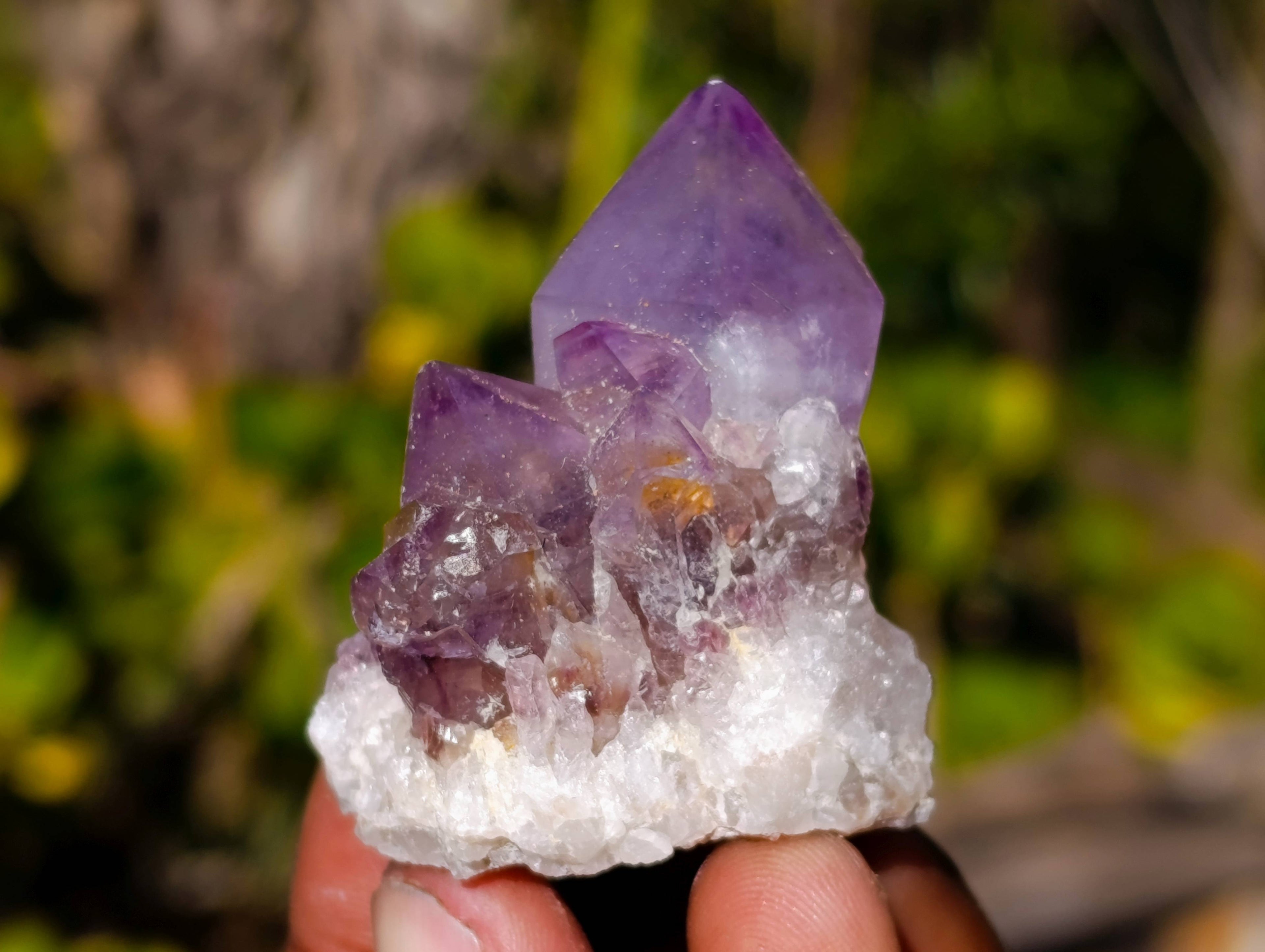 Natural Amethyst Spirit Quartz Clusters x 20 From Boekenhouthoek, South Africa - Toprock Gemstones and Minerals 