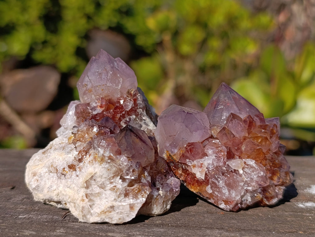 Natural Amethyst Spirit Quartz Clusters x 20 From Boekenhouthoek, South Africa - Toprock Gemstones and Minerals 