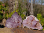Natural Amethyst Spirit Quartz Clusters x 20 From Boekenhouthoek, South Africa - Toprock Gemstones and Minerals 