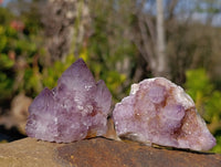 Natural Amethyst Spirit Quartz Clusters x 20 From Boekenhouthoek, South Africa